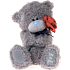 Ich zu dir Teddybär mit einer Rose 25 cm