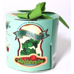 Albi Mini Garden Mint Roller Geschenkverpackungsset für den Anbau von Kräutern