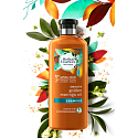 Herbal Essences Smooth Golden Moringa Oil Shampoo mit Moringöl, für glattes Haar und leichte Kämmbarkeit, ohne Parabene 400 ml
