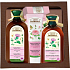 Green Pharmacy Klette und Weizenprotein Anti-Haarausfall-Shampoo 350 ml + Conditioner - Maske 300 ml + Rosenwachs Hand- und Nagelcreme 100 ml + 5 Öle Lippenbalsam 3,6 g, Kosmetikset