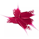 Catrice Glanzbombe Lippenstift 080 Skandalöses Rosa 3,5 g