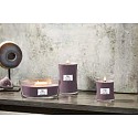 WoodWick Amethyst & Amber - Amethyst und Bernstein Duftkerze mit Holzdocht und Deckel Glas groß 609,5 g