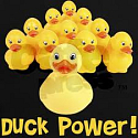 Duck Power Wc Flüssigreiniger 750 ml