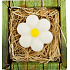Bohemia Gifts Daisy handgemachte Toilettenseife in einer Schachtel mit 65 g