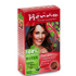 Henna natürliche Haarfarbe Tizian 120 Pulver 33 g
