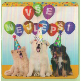 Albi 3D Umschlag Grußkarte Hunde Happy Birthday 15,5 x 15,5 cm