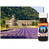 Slow-Natur Provence Ätherisches Öl 10 ml
