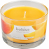 Bolsius Aromatic Exotic Mango - Mango-Duftkerze in Glas 90 x 65 mm 247 g Brenndauer ca. 30 Stunden