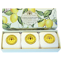 English Soap Lemon & Mandarin natürliche parfümierte Seife mit Sheabutter 3 x 100 g