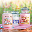 Yankee Candle Fresh Cut Roses - Duftkerze mit frisch geschnittenen Rosen Duft klein 198 g