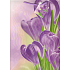 Nekupto Geschenk Papiertüte 23 x 18 x 10 cm Lila Krokus 1019 40 KFL