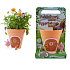 EP Line My Fairy Garden Magic Garden Fee Blumentopf mit Fee Kreativ-Set, empfohlen ab 4 Jahren