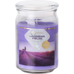Emocio Lavendelfelder - Lavendelfelder-Duftkerze Glas mit Glasdeckel 453 g 93 x 142 mm