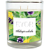Ryor Soothing Lemon Balm Soy Scented Candle Large mit 2 Dochten brennt bis zu 40 Stunden 210 g