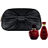 Christian Dior Hypnotic Poison EdT 50 ml Eau de Toilette + 50 ml Körperlotion + Handtasche, Geschenkset