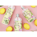 Baylis & Harding Sugar Meringue Flüssigseifenspender 500 ml