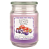 Candle-Lite Sweet Nectar Duftkerze 3 Düfte, Brenndauer 100 - 120 Stunden 538 g