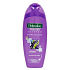 Palmolive Naturals Extra Volume Shampoo für feines und glattes Haar 200 ml