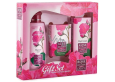 Rose of Bulgaria Duschgel mit Rosenwasser 100 ml + Toilettenseife mit Rose 50 g + Gesichtstagescreme mit Rosenwasser 30 ml, Kosmetikset für Frauen