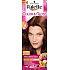 Schwarzkopf Palette Farbe & Glanz Haarfarbe 5 - 68