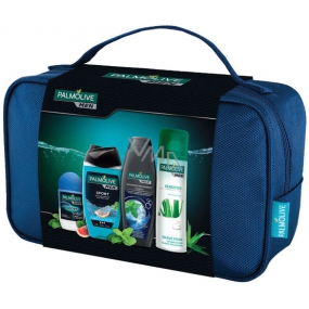Palmolive Men Sport Anti-Transpirant Roll-on Deo 50 ml + Sport 3 in 1 Duschgel 250 ml + Belebendes Shampoo 350 ml + Sensitiver Rasierschaum 300 ml + Etui, Kosmetikset