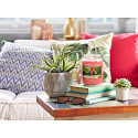 Yankee Candle The Last Paradise - Letztes Paradies Duftkerze Classic mittleres Glas 411 g