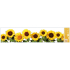 Fensterfolie ohne Kleber Sonnenblumenstreifen 64 x 15 cm