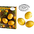 Eierdekorationsset Flare-Farbe