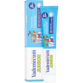 Vademecum Junior Spearmint 6+, Zahnpasta für Kinder ab 6 Jahren, 75 ml