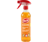 Real Kitchen Aktivschaumreiniger mit starker Entfettungswirkung auf Fett, Verbrennungen und abgesetzten Schmutzspray 550 g