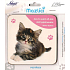 Nekupto Haustiere Untersetzer Kätzchen Tabby