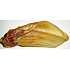 Grand Dried Beef Ear großes Ergänzungsfutter für Hunde 1 Stück
