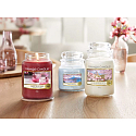 Yankee Candle Majestic Mount Fuji - Majestic Mount Fuji Duftkerze Classic kleines Glas 104 g