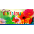 Albi 3D Belgische Vollmilchschokolade Great friend 50 g, 6,2 x 13 cm