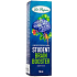 Dr. Popov Student Brain Booster Kräutertropfen zur Förderung von Konzentration und Gedächtnis 50 ml