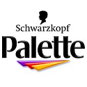 Schwarzkopf Palette Mousse Color Shake und Haarfarbe 500 Hellbraun