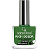 Golden Rose Rich Color Nagellack Nagellack 110 10,5 ml