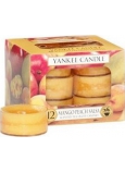 Yankee Candle Mango Pfirsichsalsa - Mango und Pfirsichsalsa duftendes Teelicht 12 x 9,8 g