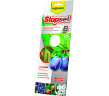 Stopset B Klebefallen für Obstfliegen, 25 × 10 cm, 5 Stk