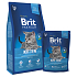 Brit Premium Chicken + Lachs mit Sauce für Kätzchen und trächtige und stillende Katzen 8 kg Komplettfutter