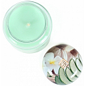 Heart & Home Beruhigende Aloe Soja-Duftkerzenmedium brennt bis zu 30 Stunden 110 g