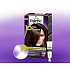 Schwarzkopf Palette 10 Minuten Haarfarbe 400 Dunkelbraun