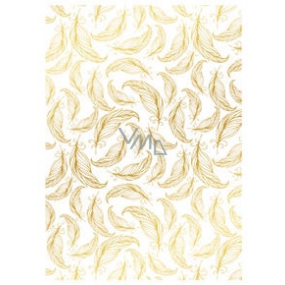 Ditipo Geschenkpapier 70 x 200 cm weiße, goldene Federn