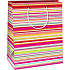 Ditipo Geschenkpapierbeutel 17,8 x 22,9 x 9,8 cm Farbige Streifen