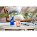 Yankee Candle Tropical Breeze - Tropical Breeze Duftkerze Signature medium Glas 2 Dochte 368 g