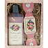 Bohemia Gifts Victorian Style Duschgel 200 ml + handgefertigte Seife 30 g, Kosmetikset