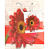 Nekupto Geschenkpapiertüte 14 x 11 x 6,5 cm Gerbera, 091 30 KAS