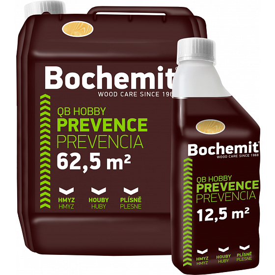 Bochemit QB Hobbyschutz von Holz und Mauerwerk gegen Schimmel und Insekten, klar 1 l