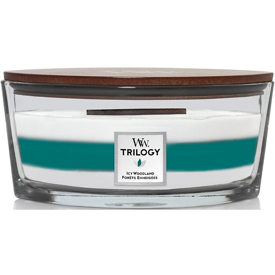 WoodWick Trilogy Icy Woodland - Ice Forest Duftkerze mit Holzdocht und Deckel Glasschiffchen 453 g