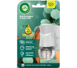 Air Wick Essential Oils Blue Eucalyptus & Eukalyptus und Zedernholz elektrischer Raumduft komplett 19 ml